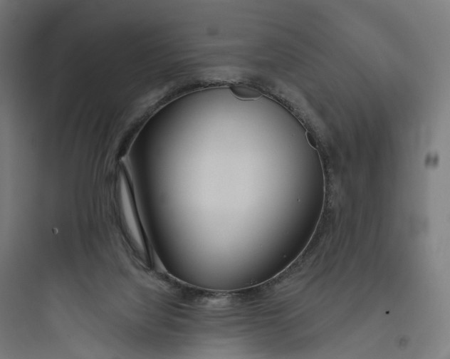 X0000093770068200711061144