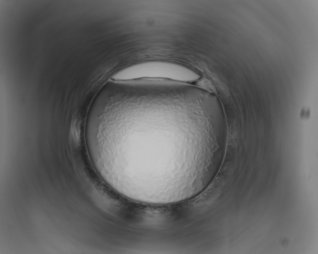 X0000093770070200711061144