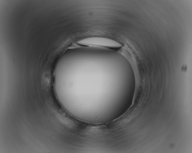 X0000093770072200711061144