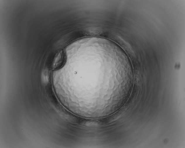 X0000093770075200711061144