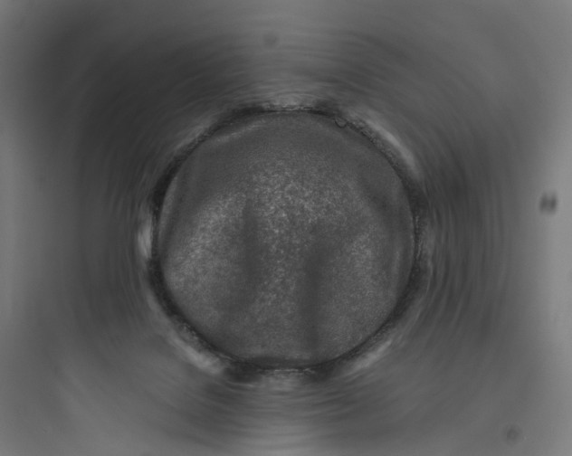 X0000093770076200711061144