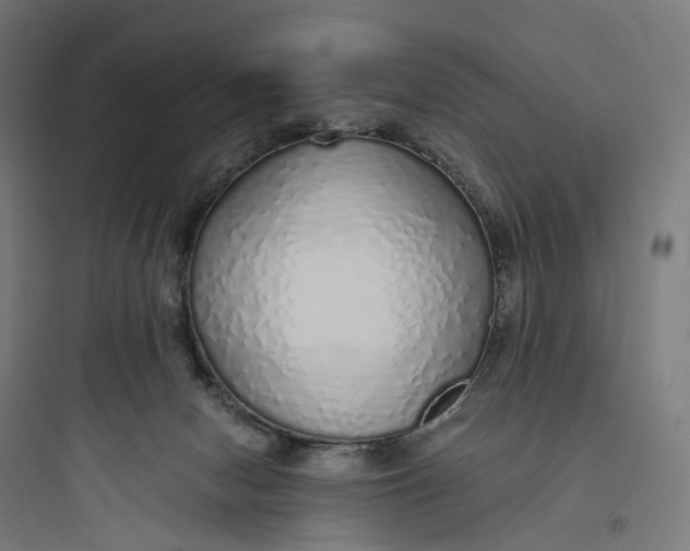 X0000093770078200711061144