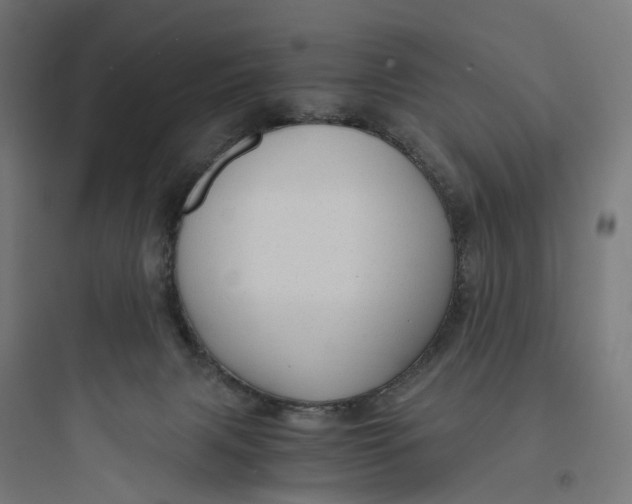 X0000093770079200711061144