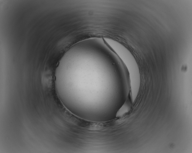 X0000093770080200711061144