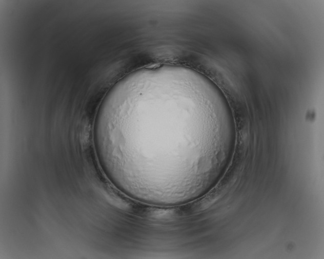 X0000093770081200711061144