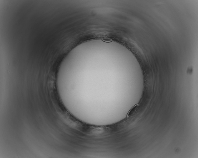 X0000093770083200711061144