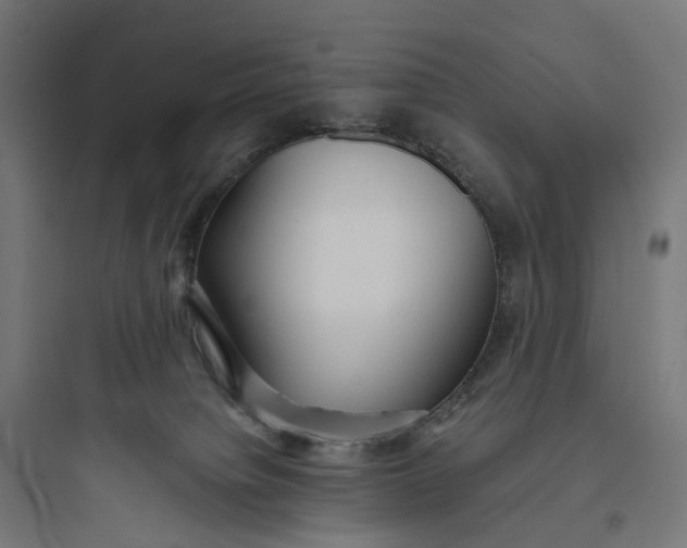 X0000093770084200711061144