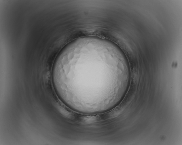 X0000093770085200711061144