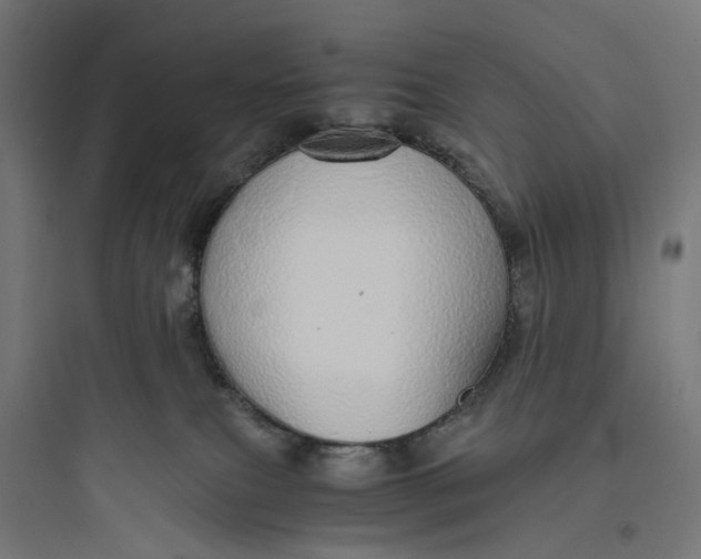 X0000093770087200711061145