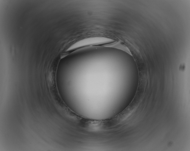 X0000093770088200711061145