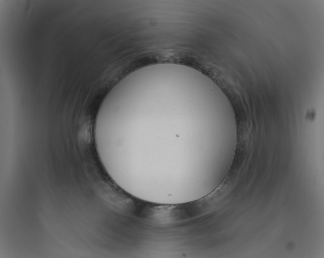 X0000093770090200711061145