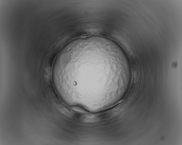 X0000093770093200711061145