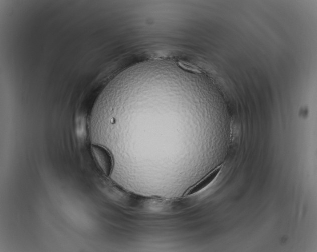 X0000093770094200711061145