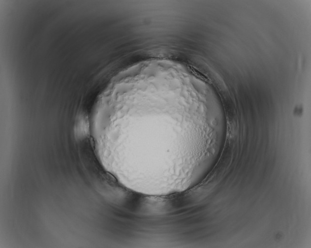 X0000093770095200711061145