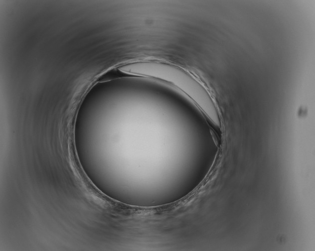 X0000093770097200711061144