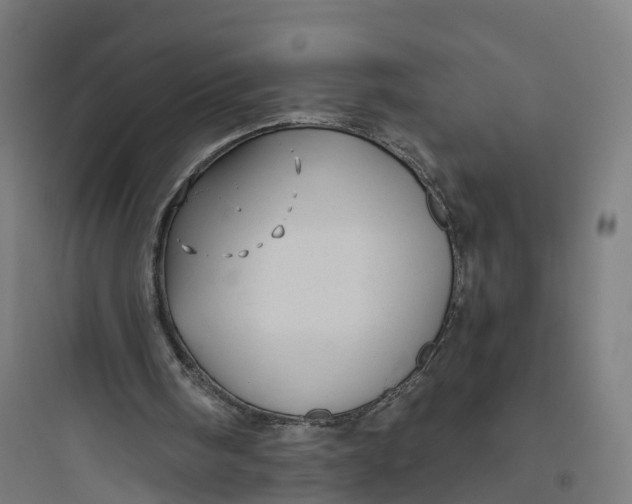 X0000093770098200711061144