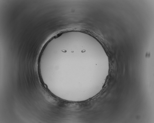 X0000093770100200711061144