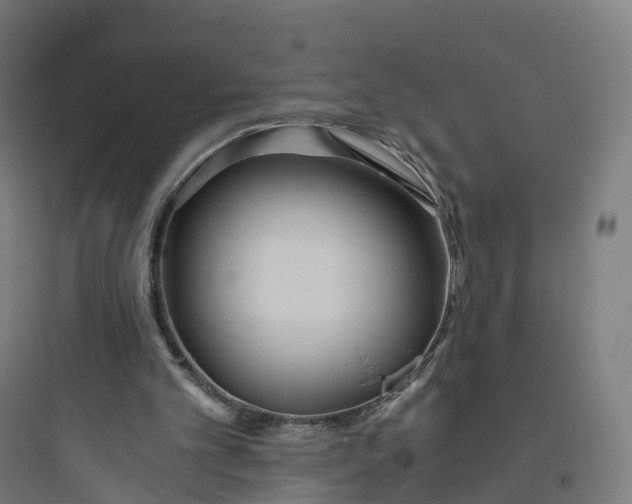 X0000093770101200711061144