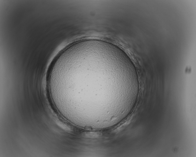 X0000093770102200711061144