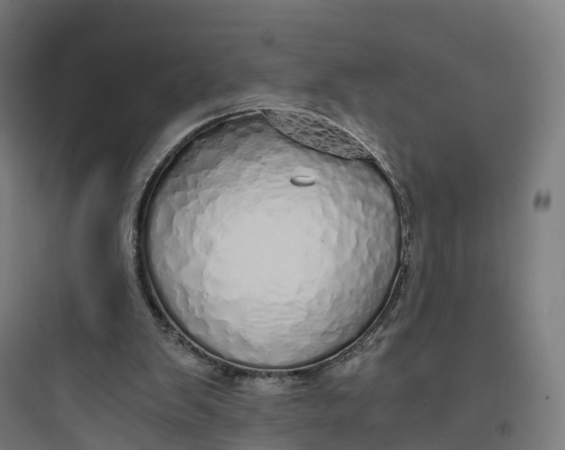 X0000093770103200711061144