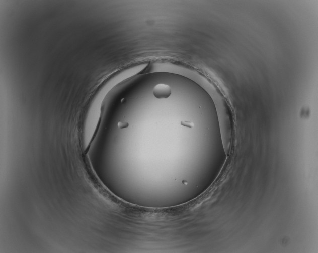 X0000093770105200711061144