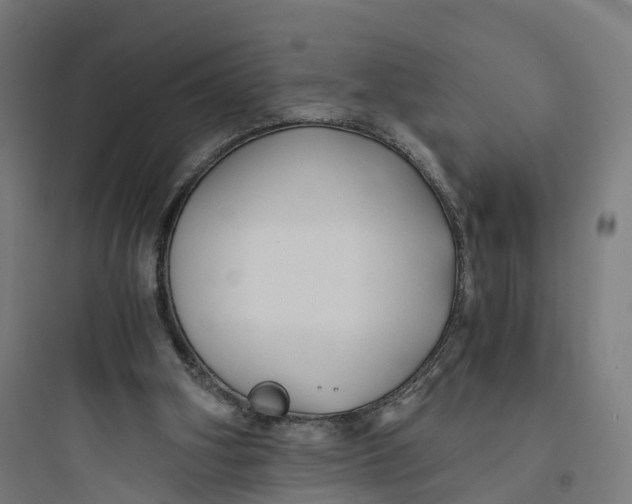 X0000093770106200711061144