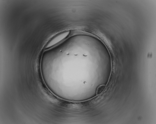 X0000093770107200711061144