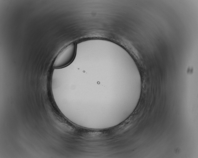 X0000093770108200711061144