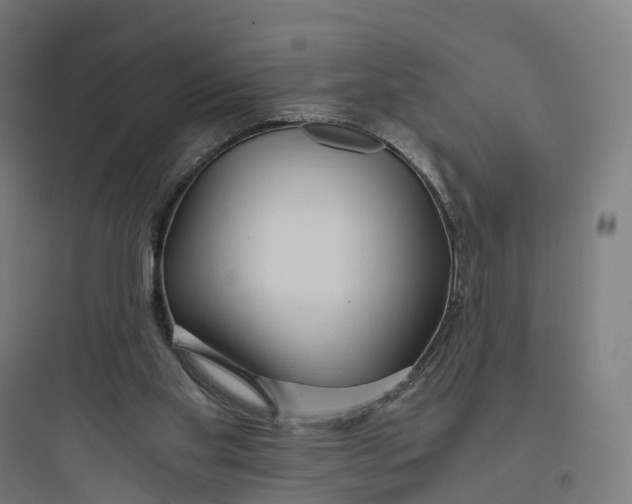 X0000093770109200711061144