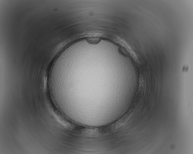 X0000093770110200711061144