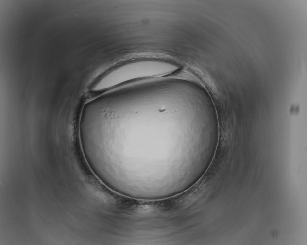 X0000093770111200711061144