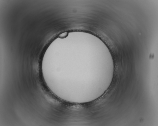 X0000093770112200711061144