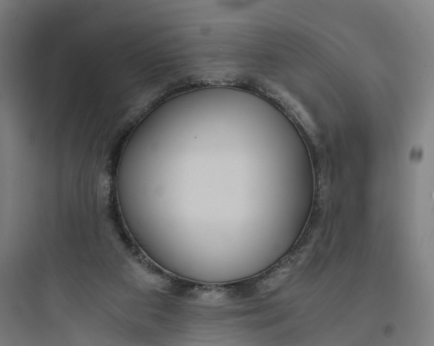 X0000093770113200711061144