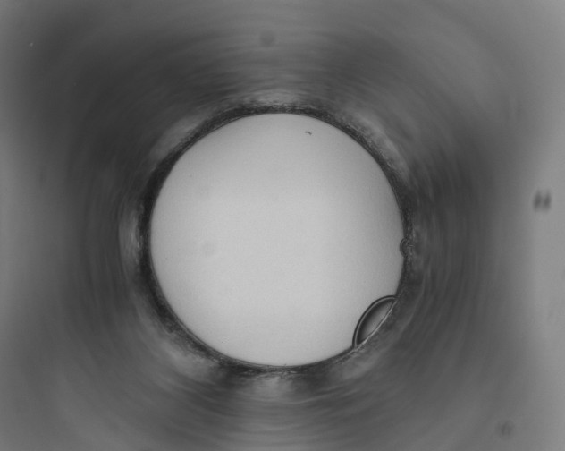 X0000093770116200711061144