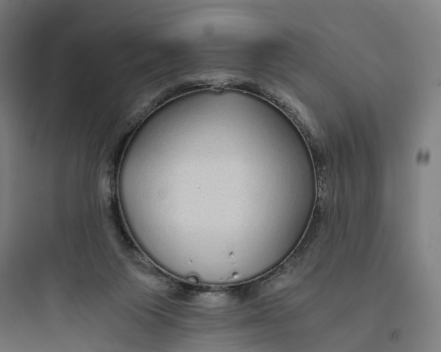 X0000093770119200711061143