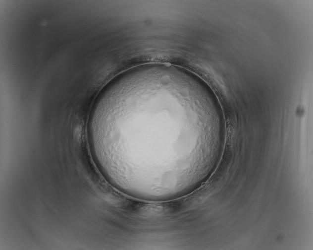 X0000093770123200711061143