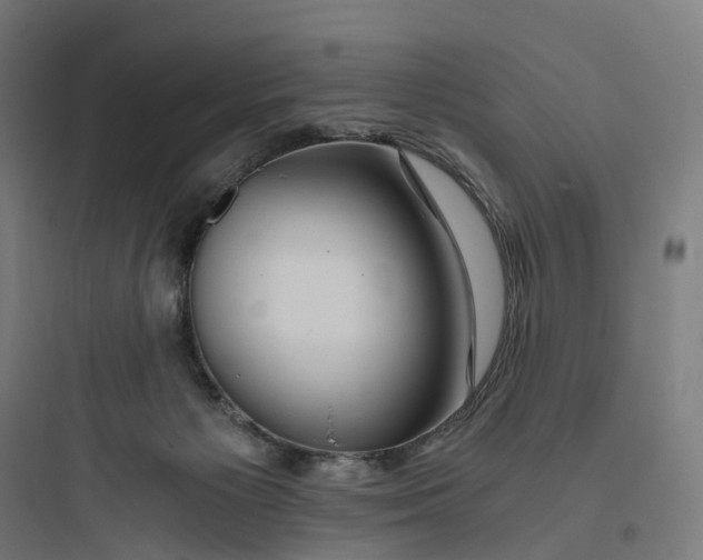 X0000093770125200711061143