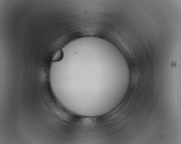 X0000093770126200711061143