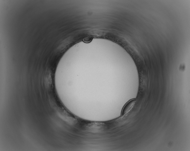 X0000093770128200711061143