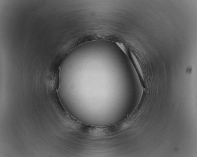 X0000093770129200711061143