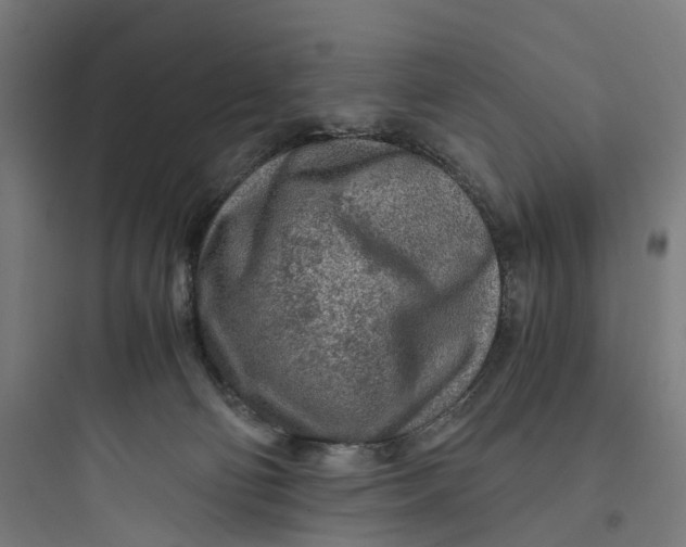 X0000093770130200711061143