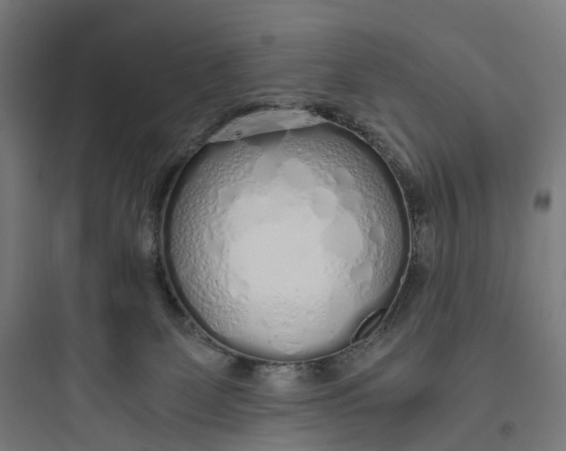 X0000093770131200711061143