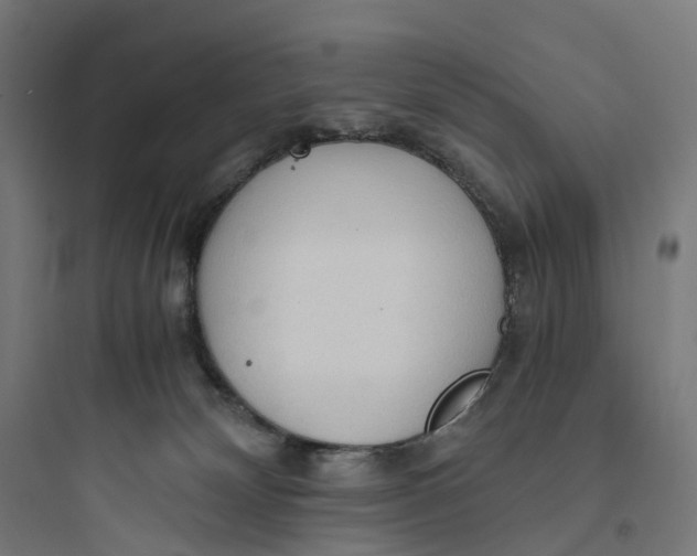 X0000093770132200711061143