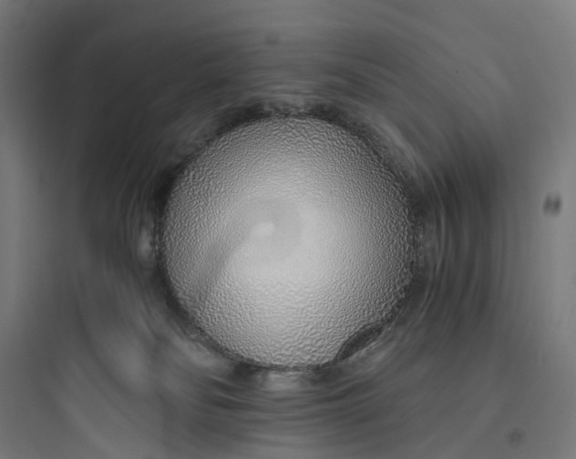 X0000093770134200711061143