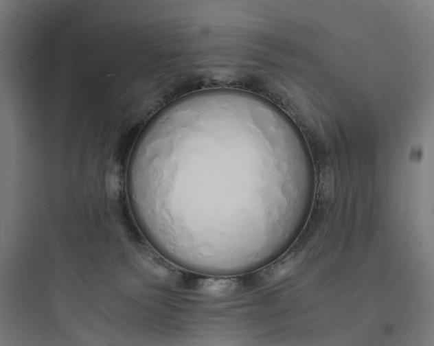 X0000093770135200711061143