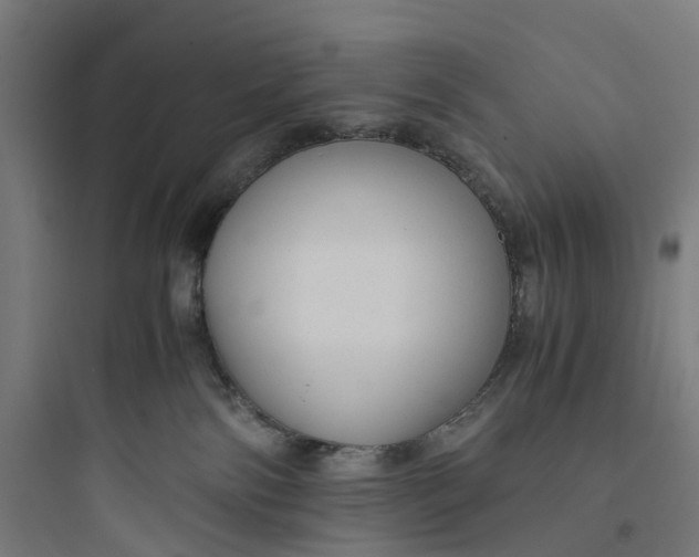 X0000093770138200711061143