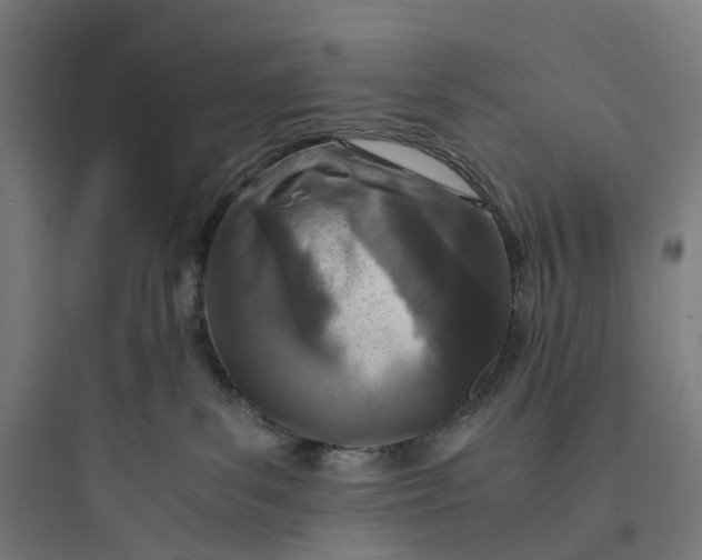 X0000093770139200711061143