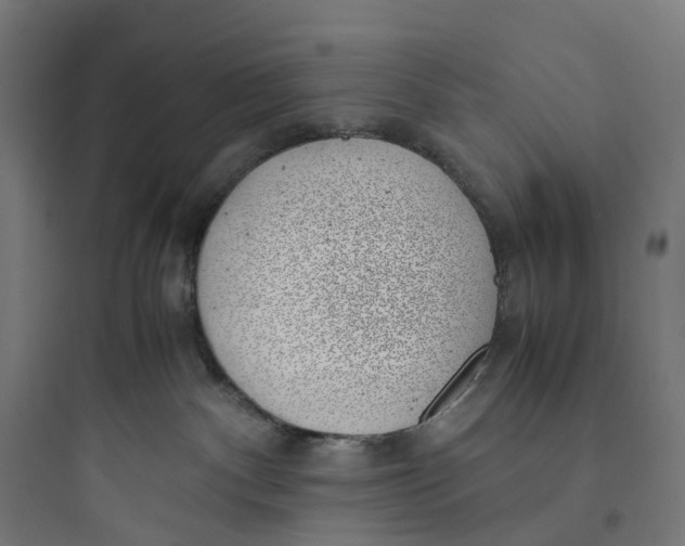 X0000093770140200711061143