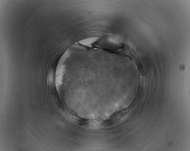 X0000093770143200711061143