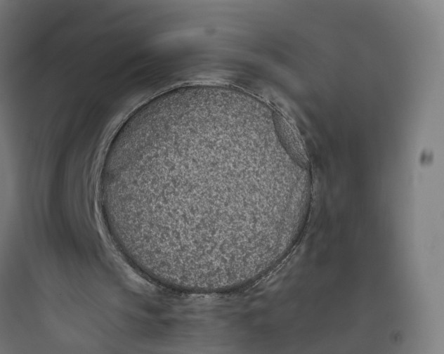 X0000093770145200711061142